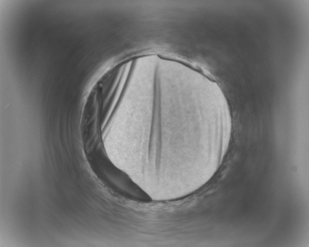 X0000065990007200603311943