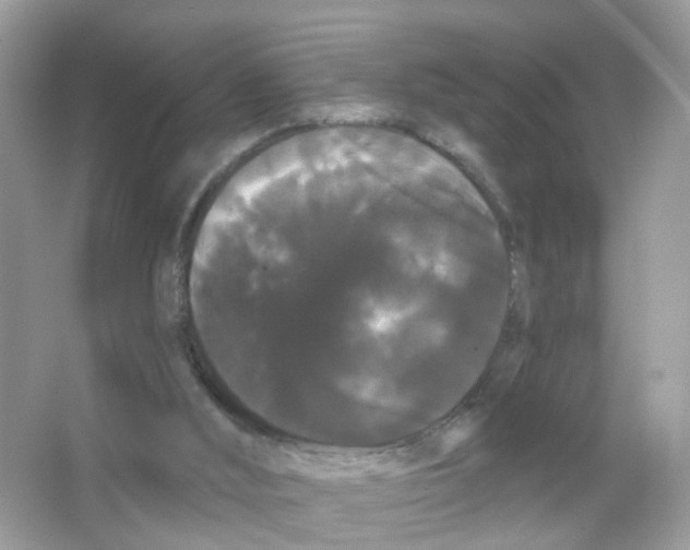 X0000065990012200603311943