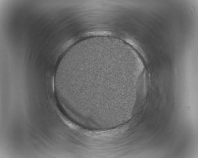 X0000065990013200603311943