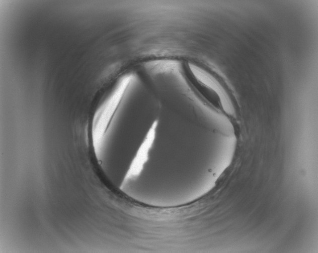X0000065990019200603311943