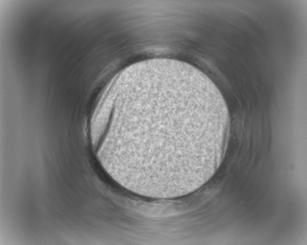 X0000065990024200603311942