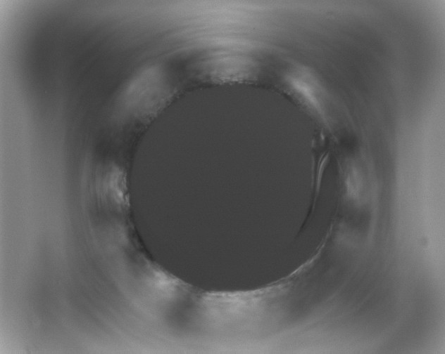 X0000065990025200603311942