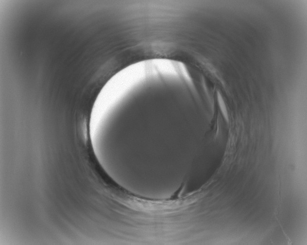 X0000065990027200603311942