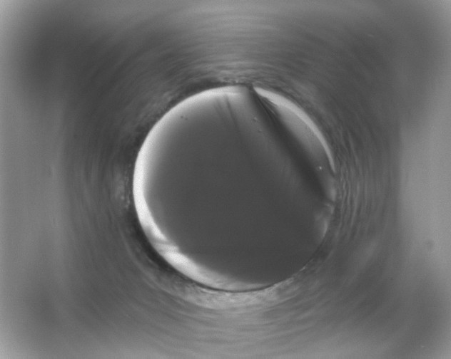 X0000065990031200603311942