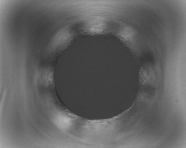 X0000065990033200603311942