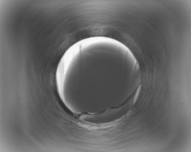 X0000065990035200603311942