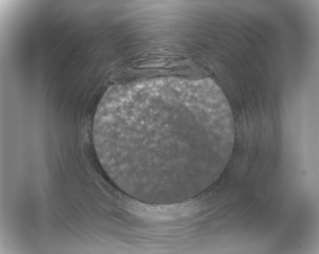 X0000065990038200603311942