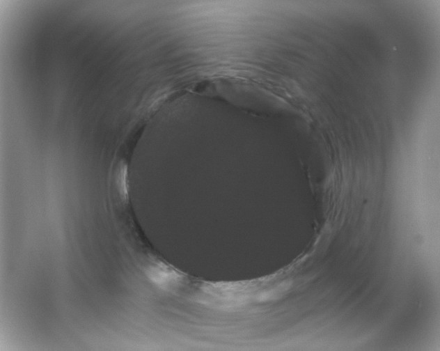 X0000065990041200603311942