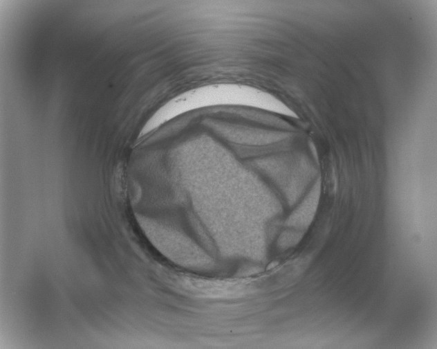 X0000065990044200603311942