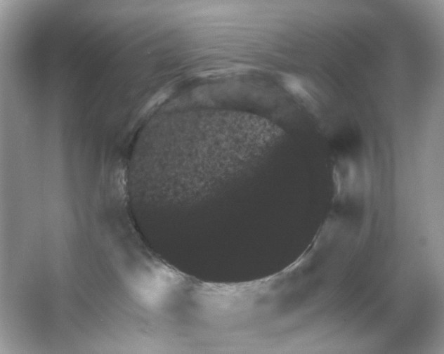 X0000065990045200603311942