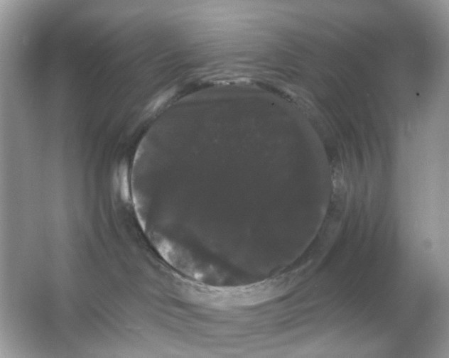 X0000065990046200603311942