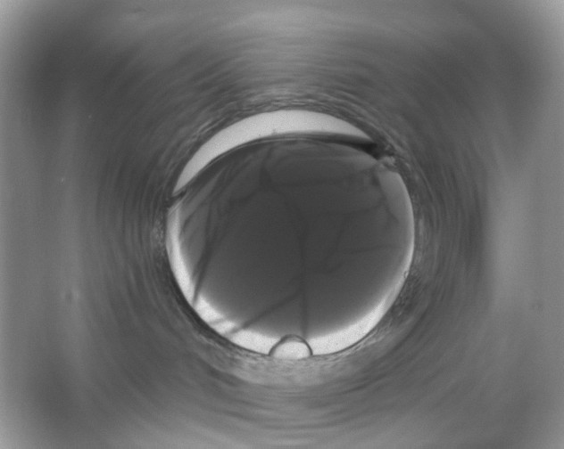 X0000065990048200603311942