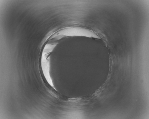 X0000065990051200603311941