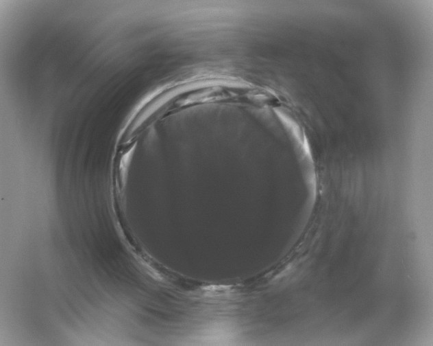 X0000065990052200603311941