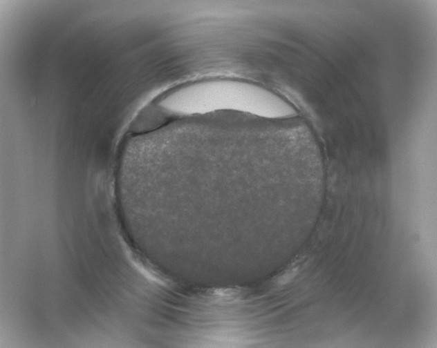 X0000065990060200603311941