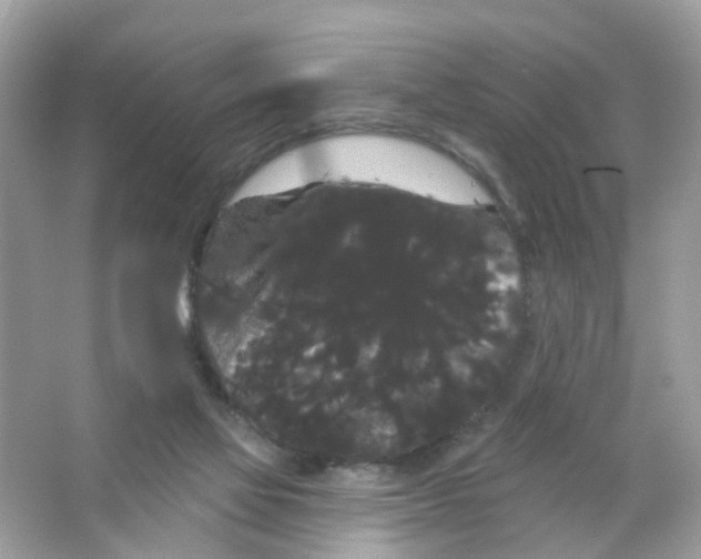 X0000065990069200603311942