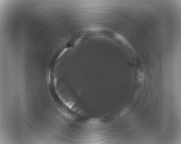 X0000065990076200603311942
