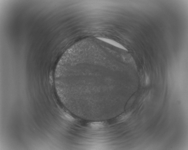 X0000065990085200603311942