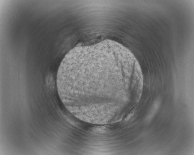 X0000065990086200603311942