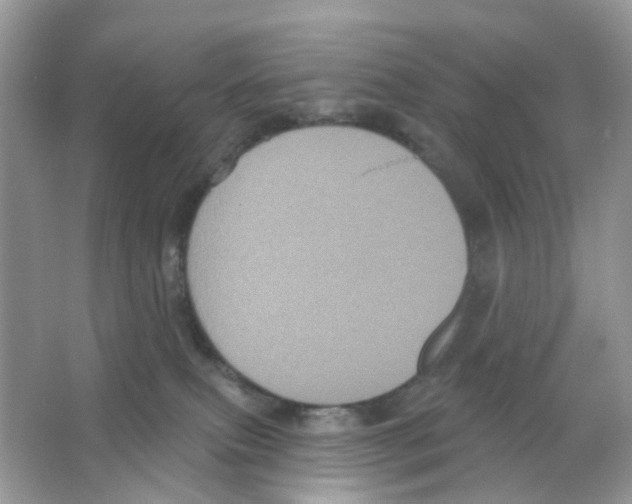 X0000065990087200603311942