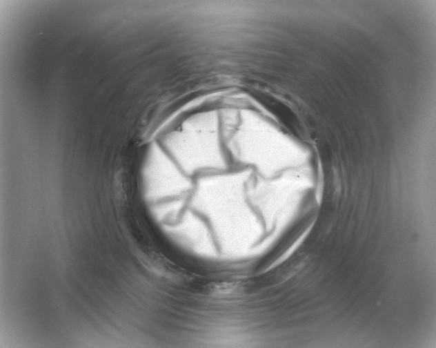 X0000065990088200603311942