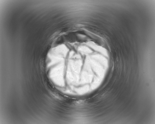 X0000065990092200603311942