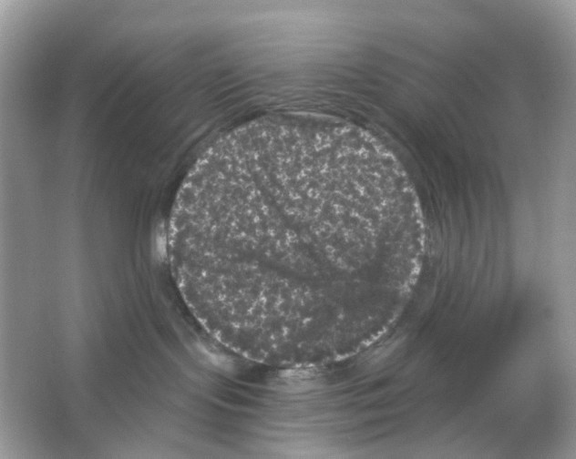 X0000065990095200603311942
