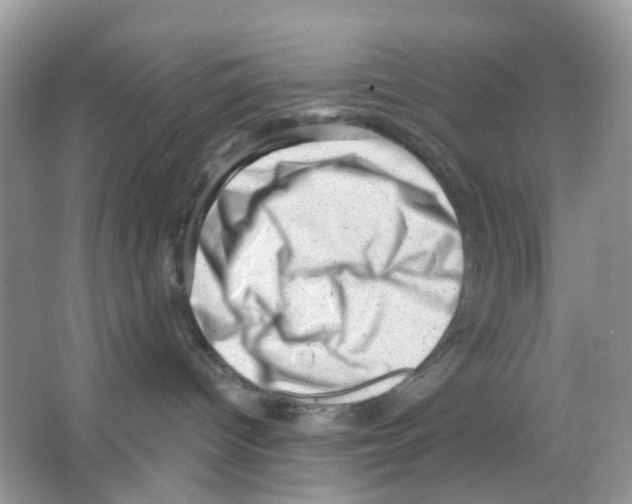 X0000065990096200603311942