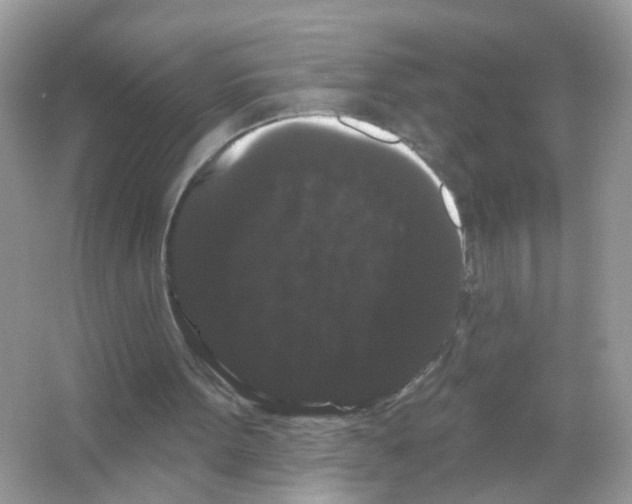 X0000065990099200603311941
