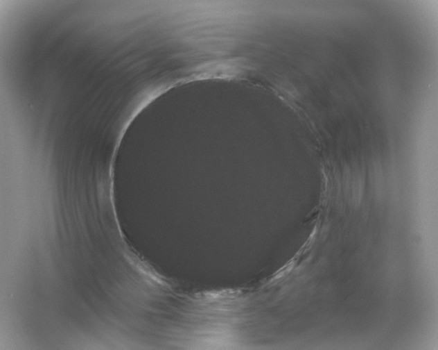 X0000065990100200603311941