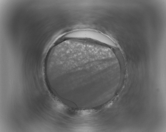 X0000065990103200603311941