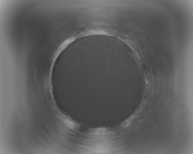 X0000065990104200603311941
