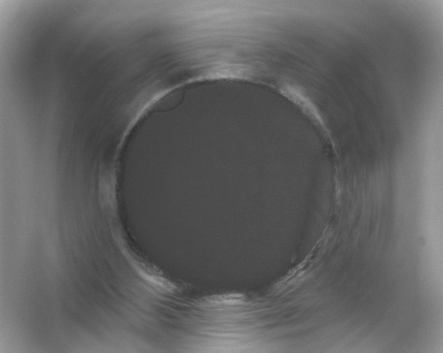 X0000065990108200603311941