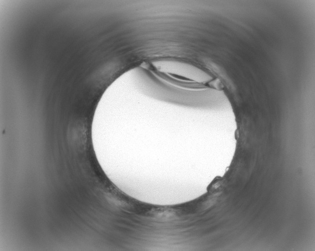 X0000065990113200603311941