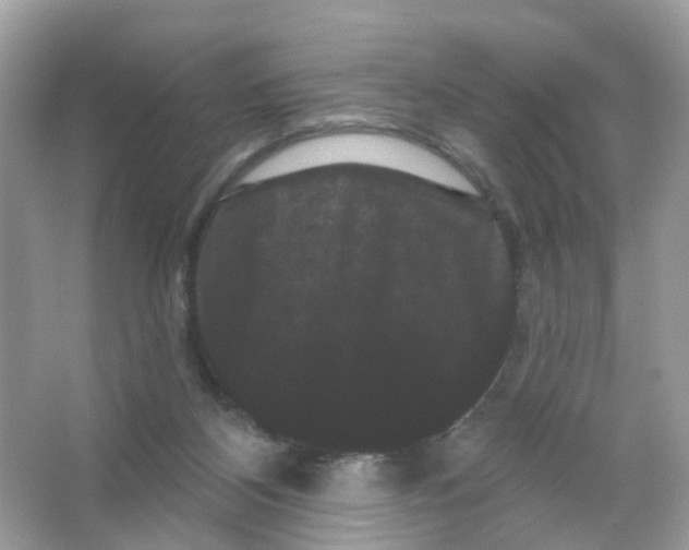 X0000065990116200603311941