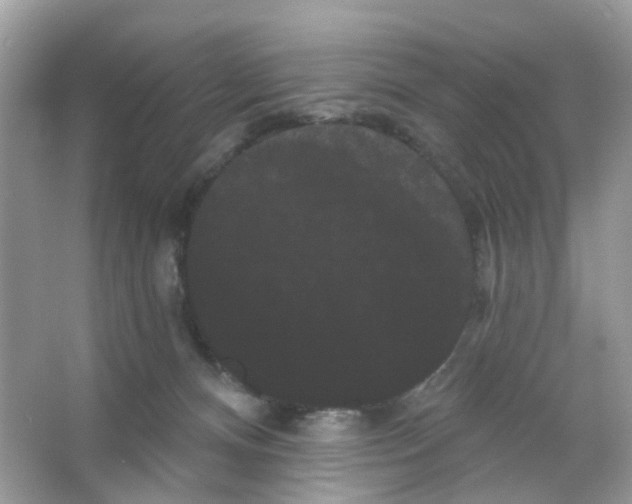 X0000065990128200603311941