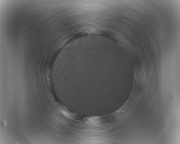 X0000065990132200603311941