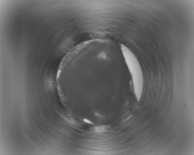 X0000065990134200603311941