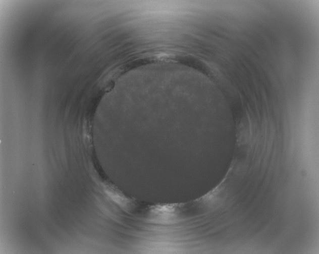 X0000065990140200603311940
