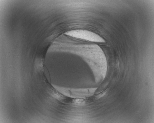 X0000065990141200603311940