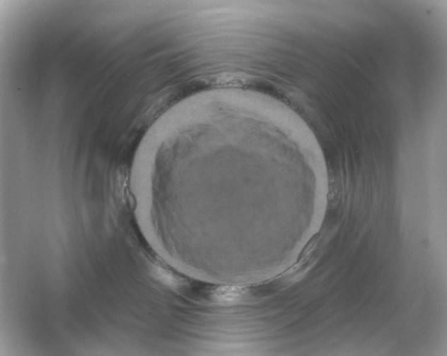 X0000065990142200603311940