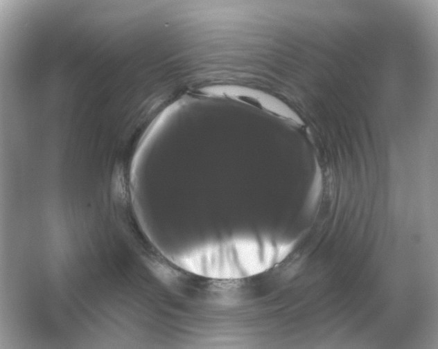 X0000065990143200603311940