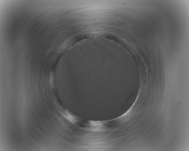 X0000065990144200603311940