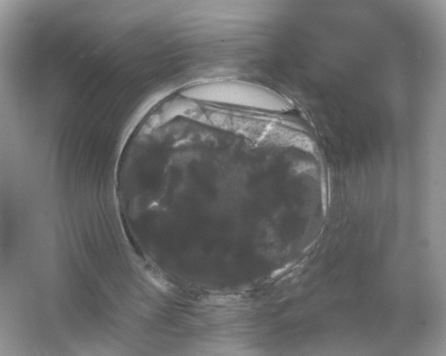 X0000065990147200603311940