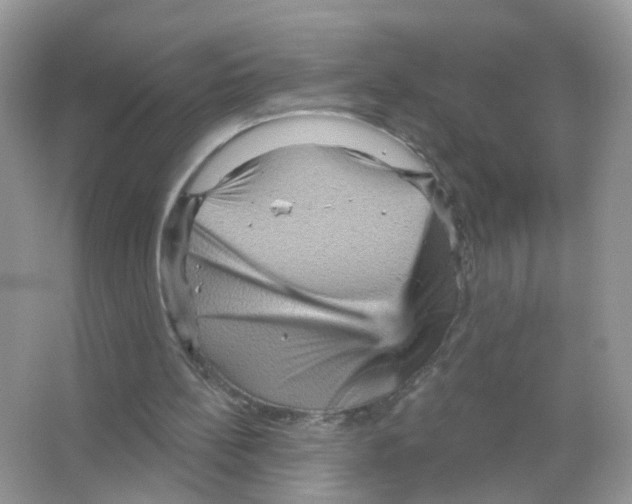 X0000065990148200603311940