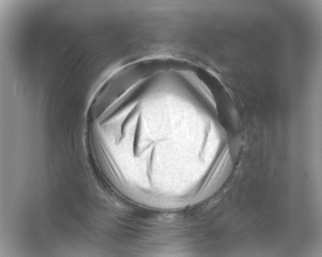 X0000065990152200603311940