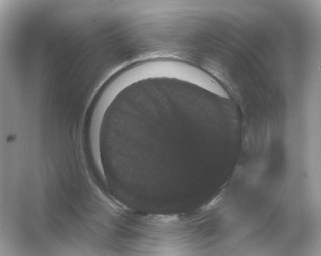 X0000065990156200603311940