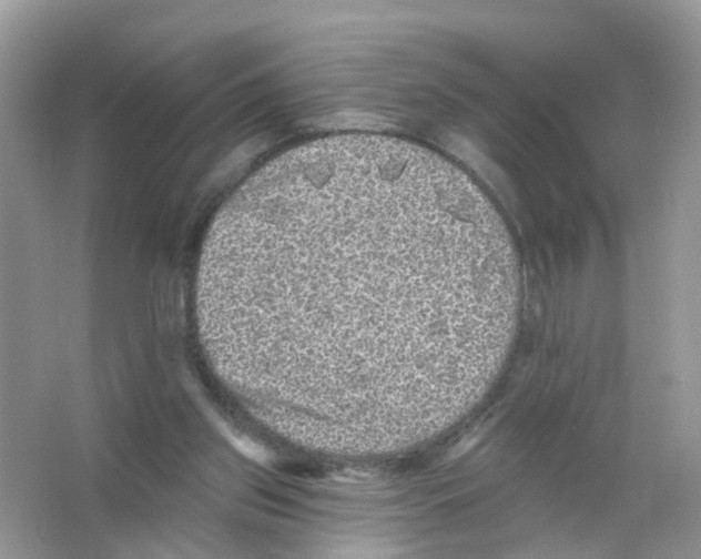X0000065990157200603311940
