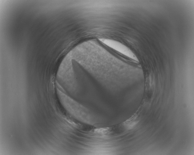 X0000065990172200603311940