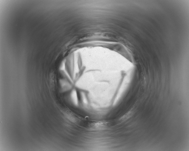 X0000065990184200603311940